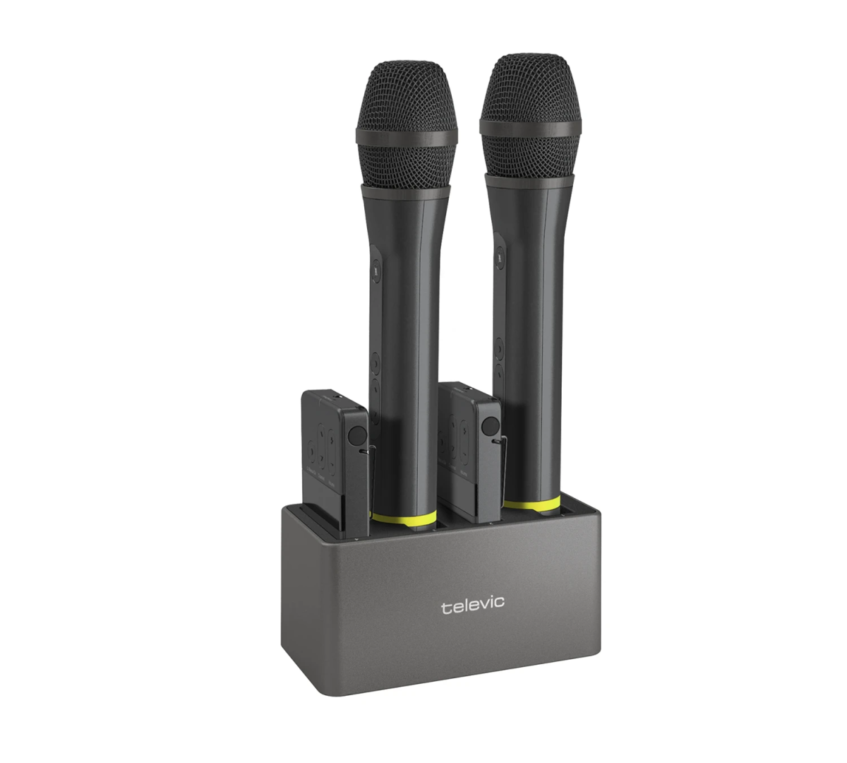 Televic UNITE DS-4/2