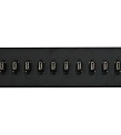 Cypress CPP-16H