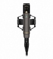 Sennheiser MKH 800 TWIN Nx