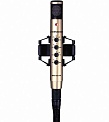 Sennheiser MKH 800 P48