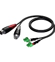 AUDAC CLA835/3