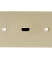 Gefen WP-HDMI-I