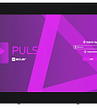 PULSO-10