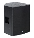 DSproaudio CX 12S18 (A)