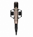 Sennheiser MKH 800 TWIN Ni