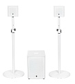 DSproaudio ANT WH