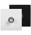 AUDAC CP43BNC/B