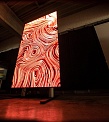 Optoma QUADSHOW