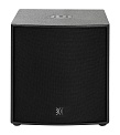 DSproaudio CX S15