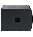 DSproaudio ERA-i S18