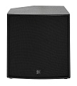 DSproaudio CX 115