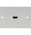 Gefen WP-HDMI-W