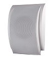 AUDAC WS500