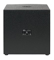 DSproaudio CX S18