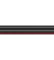 Procab RZ40